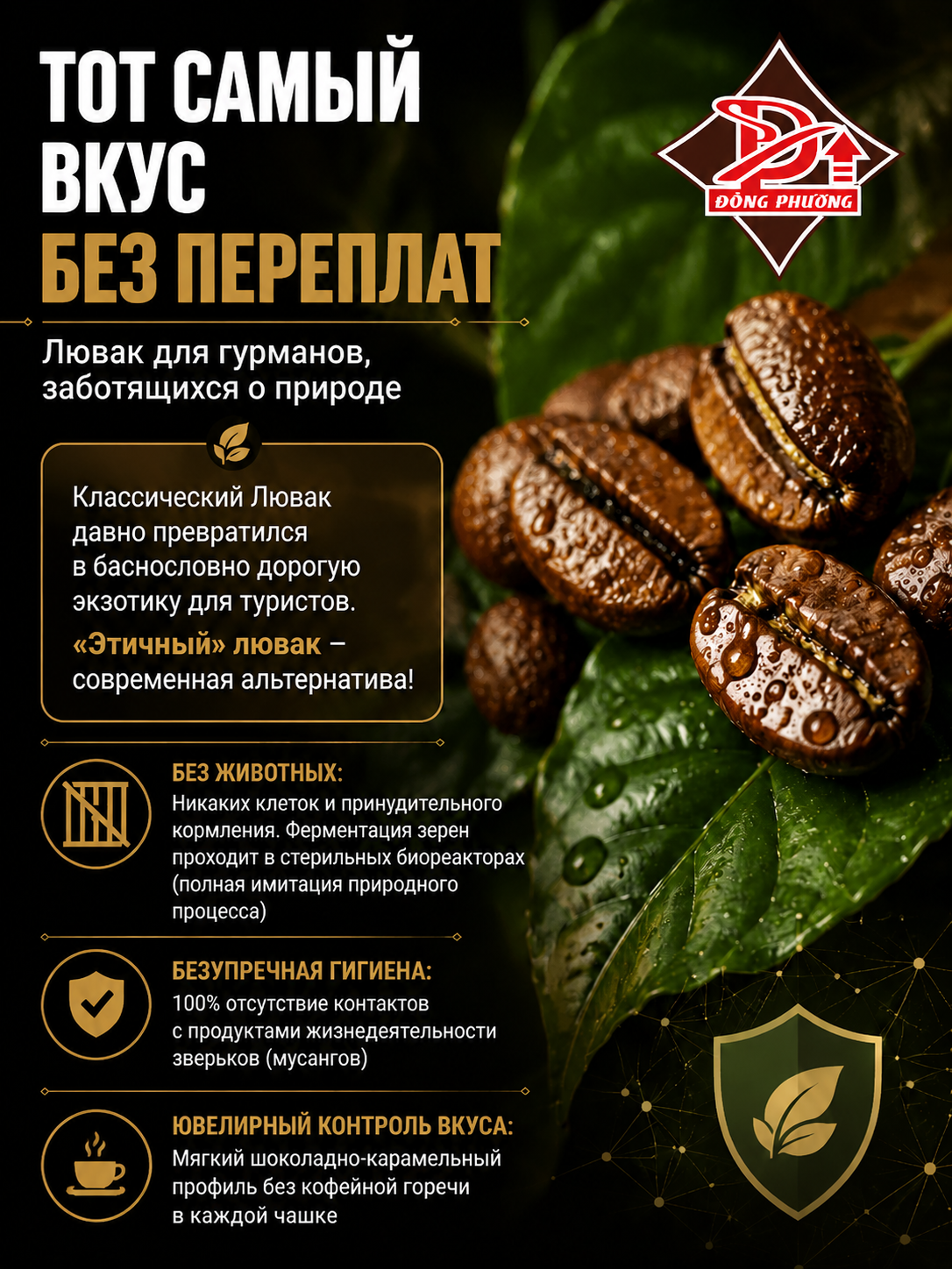 Вьетнамский молотый кофе Лювак Премиум Dong Phuong 250гр